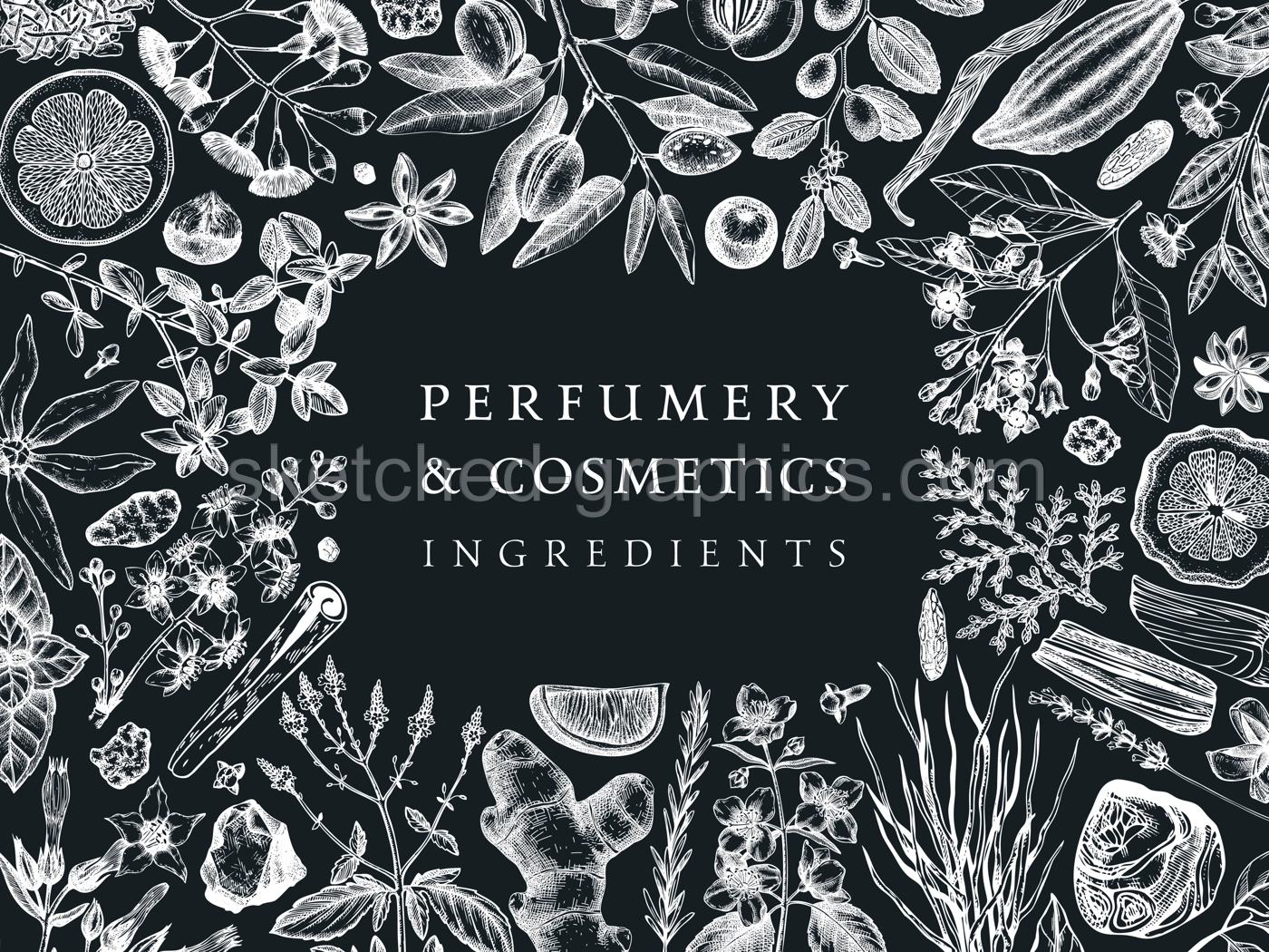Hand drawn perfumery and cosmetics ingredients banner. Decorative background with vintage aromatic plants, fruits, spices, herbs for perfumery. Cosmetics design template. Aromatic plants on chalkboard Illustration